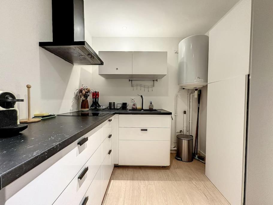 La Suite Duhamel - Au Pied De La Gare - Au Calme Rennes Dış mekan fotoğraf